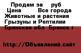 Продам за 50 руб. › Цена ­ 50 - Все города Животные и растения » Грызуны и Рептилии   . Брянская обл.,Брянск г.